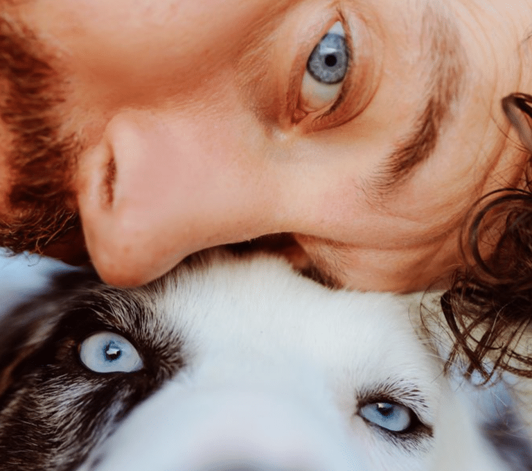 17 Signs a Shelter Dog Is Ready to Come Home With You